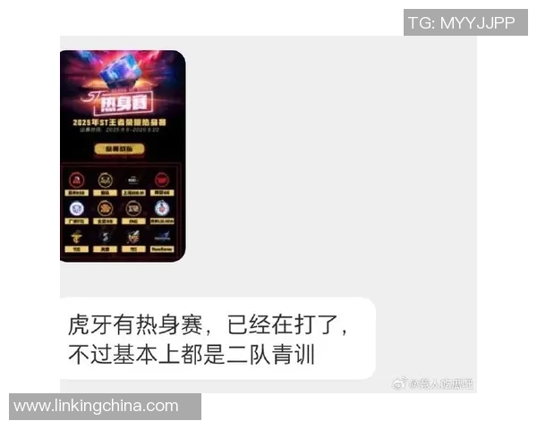 王者荣耀双边阵容解析及其优劣与相互克制关系探讨