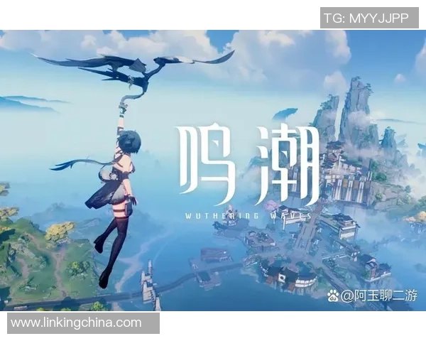 鸣潮声骸技能搭配全解析打造开放世界中的战斗策略