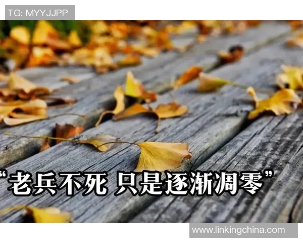 老兵不死只是在岁月的洗礼中逐渐淡去的传奇故事与回忆 老兵不死只是在岁月的洗礼中逐渐淡去的传奇故事与回忆